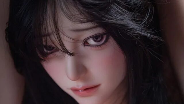 蛍火日記 天城（Amagi） 165cm｜1構成・4社の価格比較