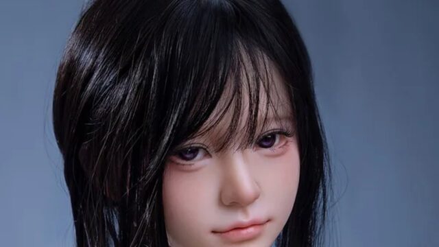 蛍火日記 久川（Hisakawa） 158cm S-TPEボディ｜1構成・5社の価格比較