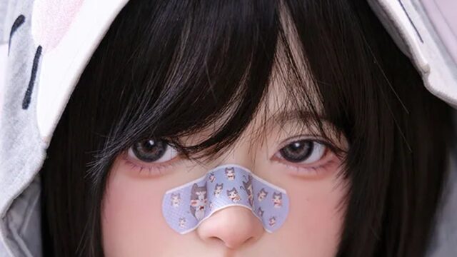 蛍火日記 琉璃（Ruri） 151〜153cm｜2構成・10社の価格比較