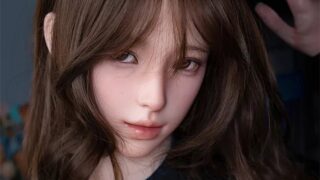 蛍火日記 夜蘭（Yoran） 160〜164cm｜3構成・8社の価格比較